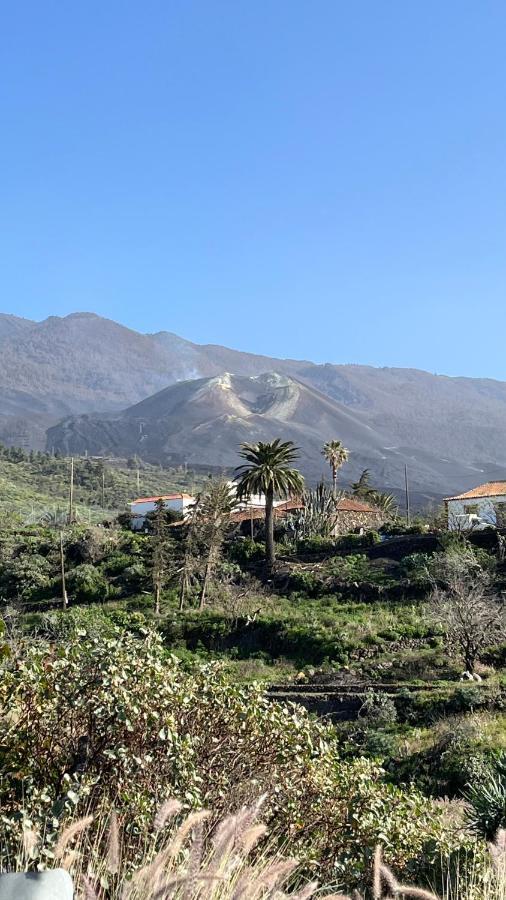 Hotel El Oasis El Paso Zewnętrze zdjęcie
