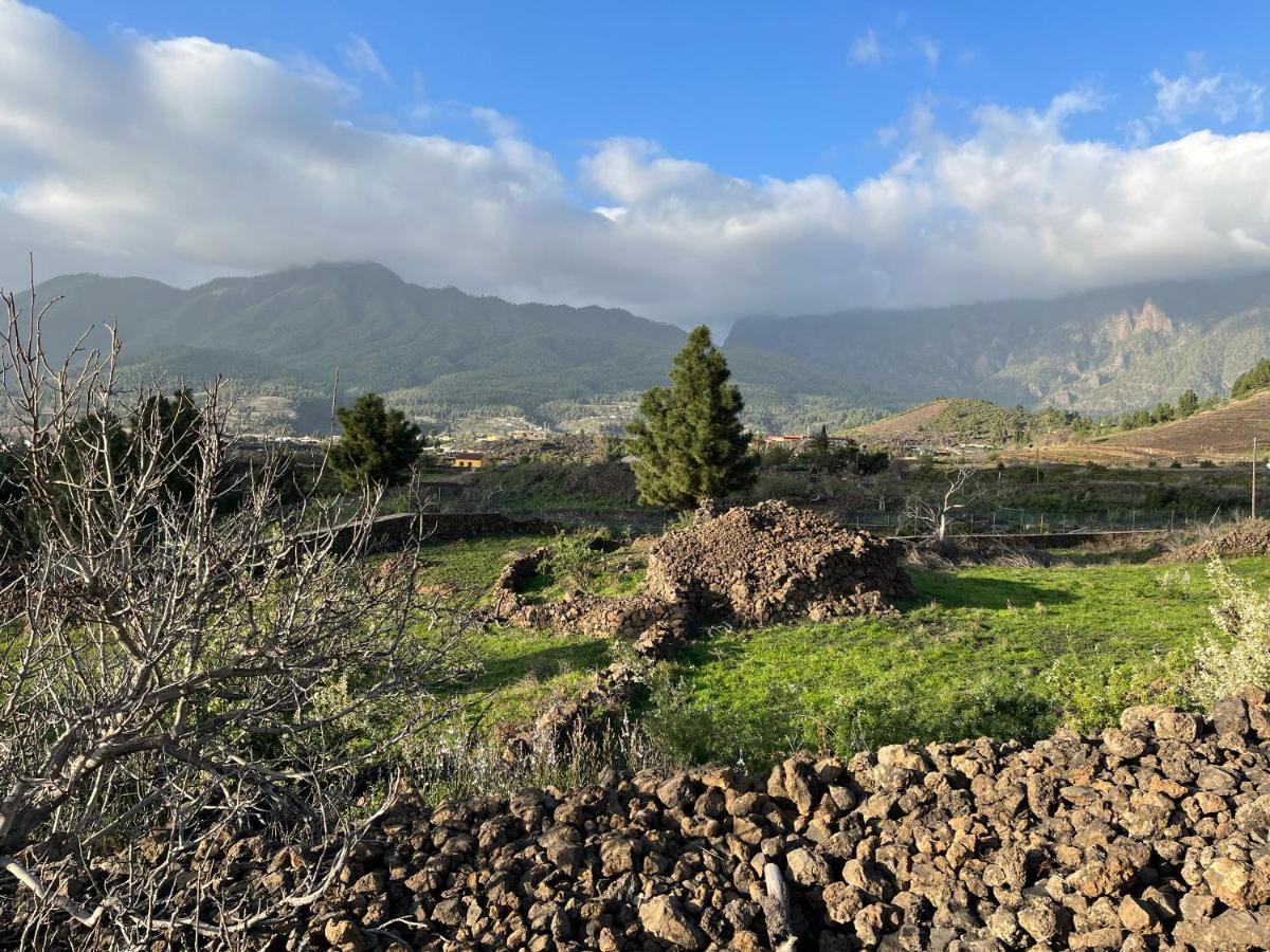 Hotel El Oasis El Paso Zewnętrze zdjęcie